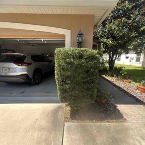 Bush Trimming by Helping Hands Home Improvement LLC reviewed on November 18, 2025