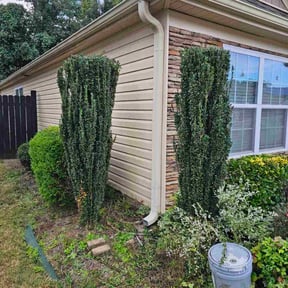 Bush Trimming by Birch Hill Mowing &amp; Property Maintenance reviewed on October 23, 2025