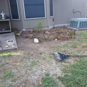 Bush Trimming by Keep it Loe Lawn Service reviewed on August 17, 2025