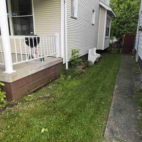Bush Trimming by Jay's Lawn Care reviewed on August 21, 2025
