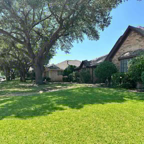 landscape maintenance by D&amp;N Anointed Services  reviewed on April 6, 2022