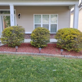Bush Trimming by Coram landscaping reviewed on March 28, 2024
