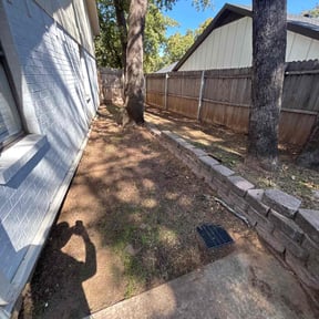 Leaf Removal by Sbm reviewed on November 10, 2025