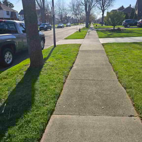 yard work by Kings Cut Property Maintenance of WNY reviewed on November 22, 2025