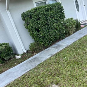 Bush Trimming by Haul Away 901 reviewed on October 20, 2025