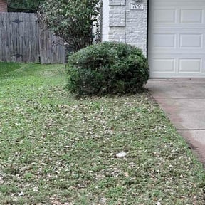 Bush Trimming by Positive Landscaping reviewed on April 27, 2026