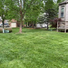 yard service by Deriks landscaping crew reviewed on November 19, 2025