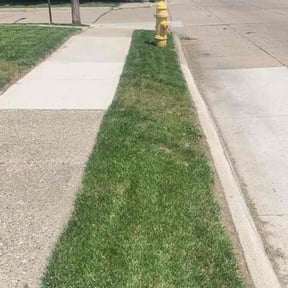 Bush Trimming by Taco Man Lawncare reviewed on August 16, 2025