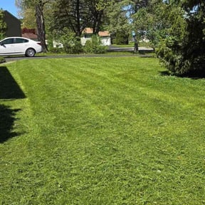 lawn care services by Under the Table Lawn Care Company reviewed on April 22, 2024