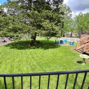 yard care by Bellachipdory reviewed on November 20, 2025