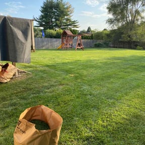 yard service by Moises Perez reviewed on August 15, 2025