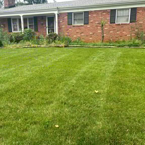 landscape maintenance by Los Hernandez landscape reviewed on November 24, 2025