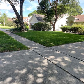 turf care by John Geisler reviewed on August 20, 2025