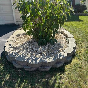 Bush Trimming by Grota Get It Done reviewed on October 22, 2025