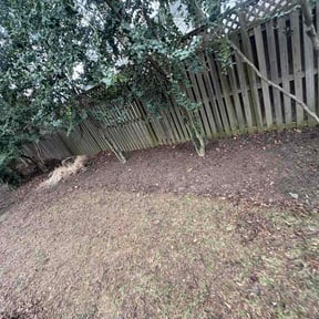 Leaf Removal by Electrifying lawn care reviewed on March 19, 2026