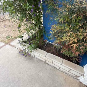 Leaf Removal by Keep It Green reviewed on May 19, 2026