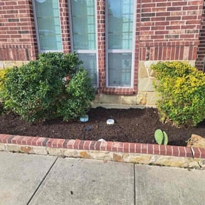 Mulching by Mushana Landscape design reviewed on February 26, 2026