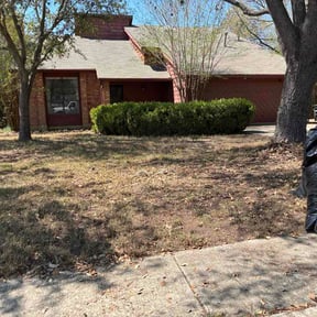 Leaf Removal by Top Dawg Lawn reviewed on May 28, 2026