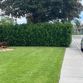 Bush Trimming by Constvs reviewed on July 6, 2026