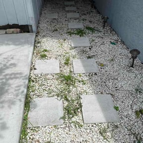 Leaf Removal by Blessed Family LLC reviewed on July 26, 2026