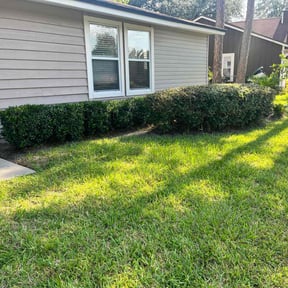 Bush Trimming by Riser Lawn Co LLC reviewed on August 17, 2025
