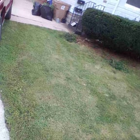 Bush Trimming by Tandem Grounds reviewed on August 25, 2026