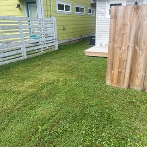 lawn maintenance by My Master Garden reviewed on August 19, 2025
