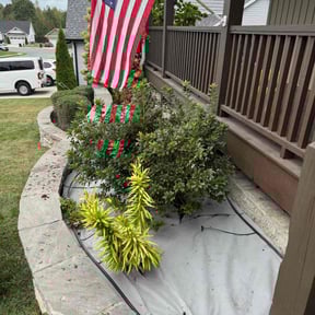 Mulching by Tim The Lawn Guy reviewed on November 18, 2025