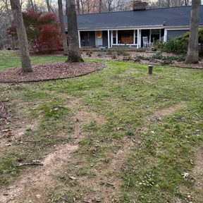 Leaf Removal by Fifty-four71 Landscapes reviewed on November 20, 2025