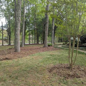 Leaf Removal by Kr lawncare reviewed on June 2, 2026