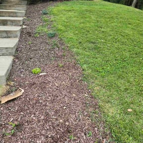 Flower Bed Weeding by K V Lawncare reviewed on October 23, 2025