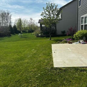 turf care by reviewed on November 9, 2017