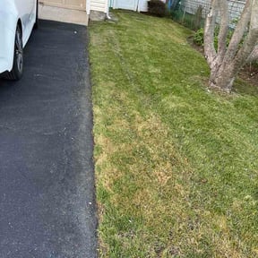 Leaf Removal by The Trusted Edge reviewed on April 28, 2026