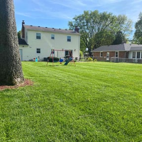 yard service by Uno Drywall and Painting Services ,LLC dba Franklin McCarter reviewed on November 18, 2025