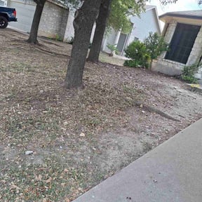 Leaf Removal by Jackson of All Trades reviewed on October 3, 2025