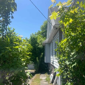 Bush Trimming by Ricos Landscaping &amp;lawn care reviewed on May 2, 2025