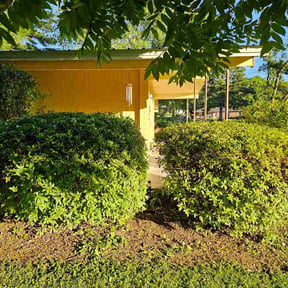 Bush Trimming by D&amp;D Lawn Service reviewed on May 30, 2026
