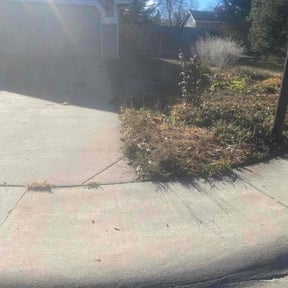 Leaf Removal by Sunny Side Grass reviewed on September 21, 2025