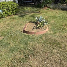 Flower Bed Weeding by Francisco amaya reviewed on May 21, 2026