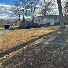 Leaf Removal by Michael Norman Lawn reviewed on September 24, 2025