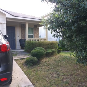 Bush Trimming by Forever Green FG LLC reviewed on March 27, 2025