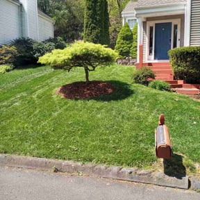 yard work by Diverse Property Maintenance and Design  reviewed on January 25, 2026