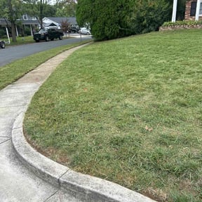 turf maintenance by W. D. Giampa Lawn &amp; Landscapes, INC. reviewed on April 28, 2024