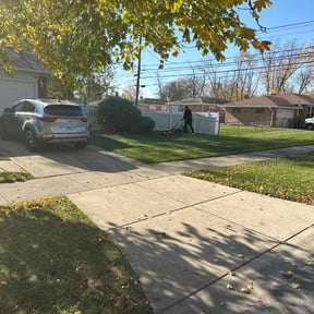 Leaf Removal by Triple M Kutters reviewed on September 9, 2025