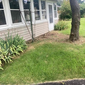 Bush Trimming by Cutting Edge reviewed on November 10, 2025