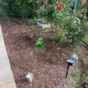 Flower Bed Weeding by Williams Luxury Landscaping LLC  reviewed on November 9, 2025