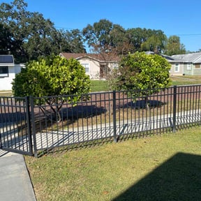 Bush Trimming by Carlos One Stop Landscaping reviewed on April 12, 2025