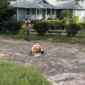 Bush Trimming by M&amp;M Lawn Service reviewed on September 16, 2023