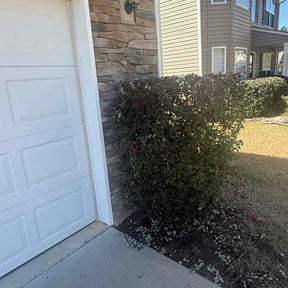 Bush Trimming by Helping Hands Lawncare Service reviewed on March 14, 2026