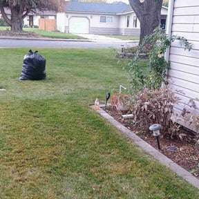 Leaf Removal by 5 Oaks Lawn Care reviewed on November 21, 2025